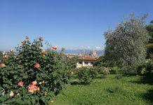 Il Giardino delle Rose – Un angolo di paradiso nel cuore di Firenze
