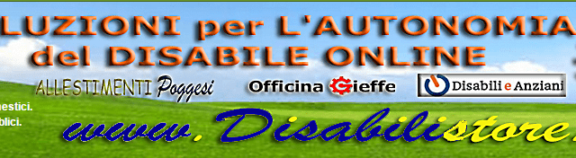 Disabili.png